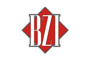 BZI.ro - Cotidian local de investigații și anchete politice